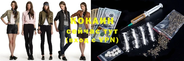 шишки Наволоки