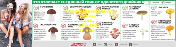 ешки Надым