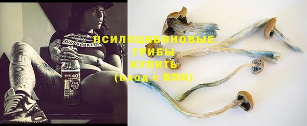 ешки Надым