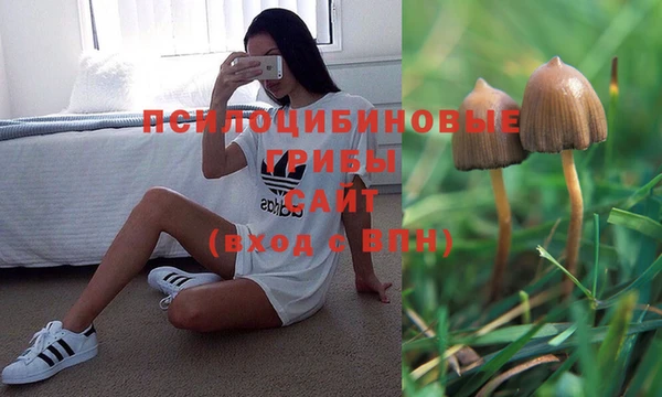 МДМА Нефтекумск