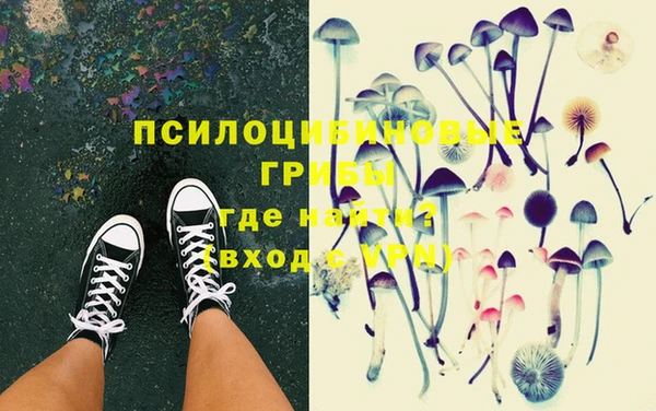 ешки Надым